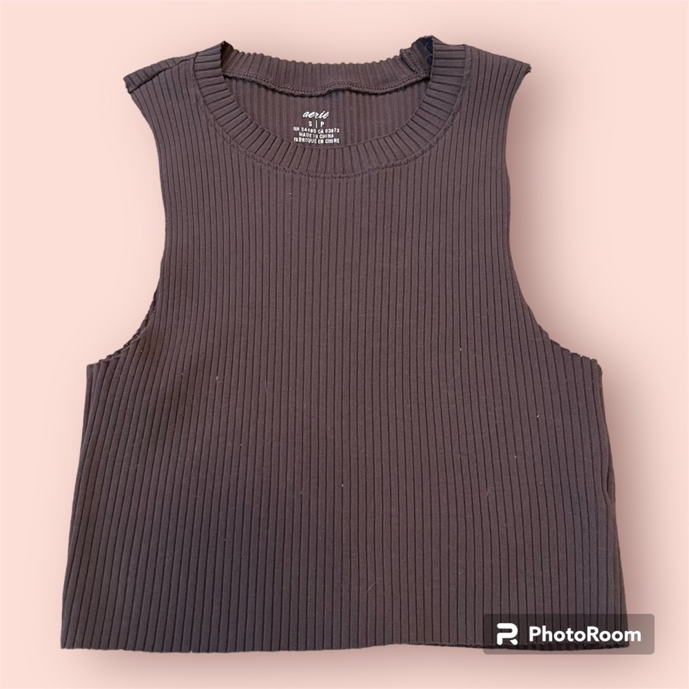 Brown Aerie Cropped Tank